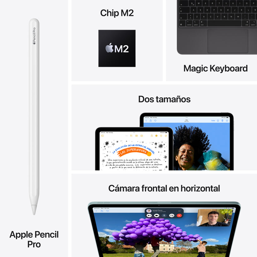 iPad Air de 13 pulgadas Wi-Fi + Cellular 256 GB - Morado (M2)