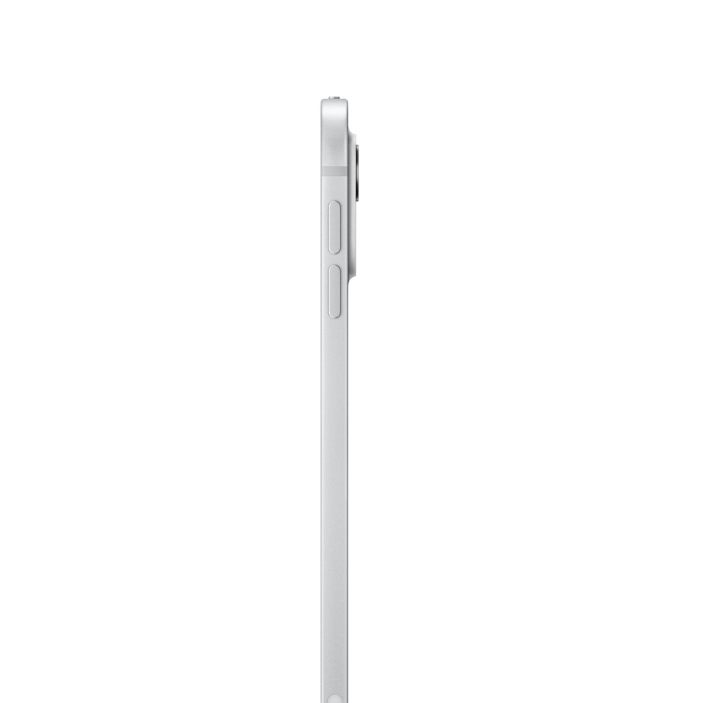 iPad Pro de 11 pulgadas Wi-Fi 2 TB Vidrio nanotexturizado - Plata (M4)