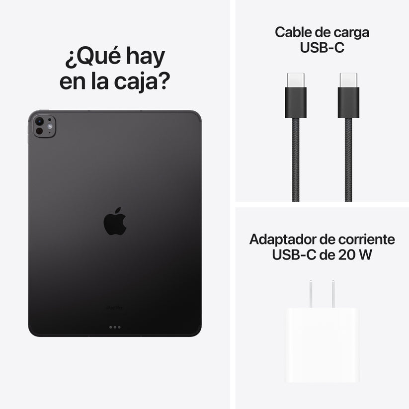 iPad Pro de 13 pulgadas Wi-Fi + Cellular 256 GB Vidrio estándar - Negro espacial (M4)
