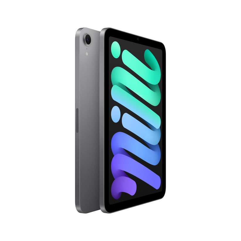 iPad mini Wi-Fi 128 GB - Gris espacial (A17 Pro)