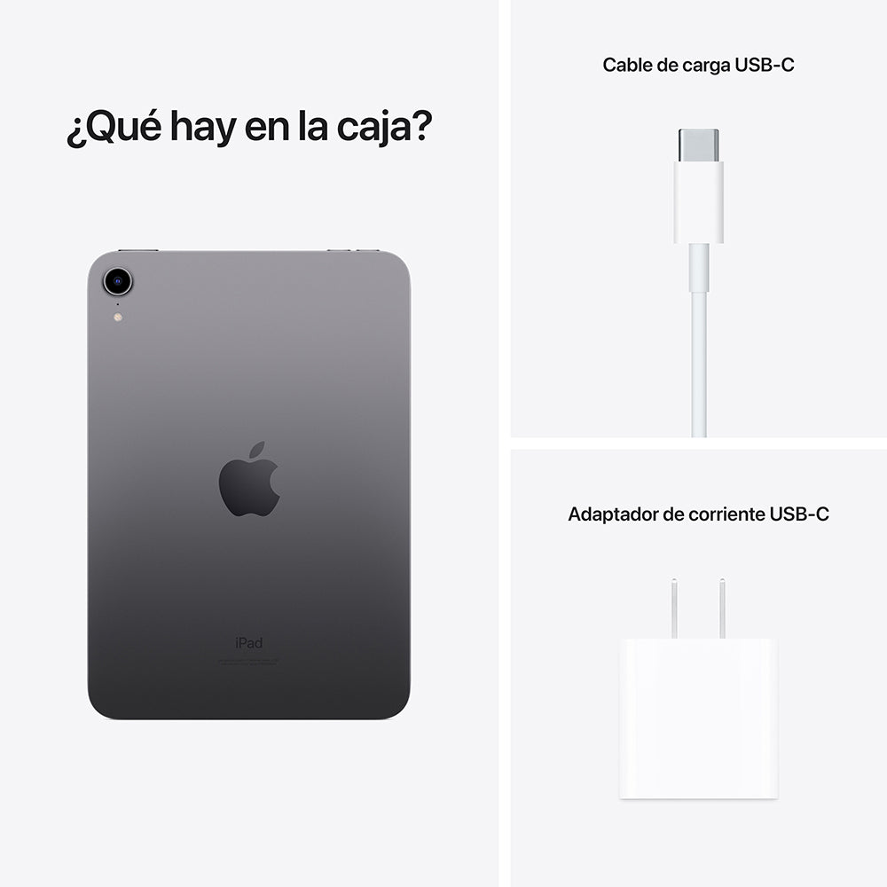 iPad mini Wi-Fi 64 GB - Gris espacial (6.ª generación)
