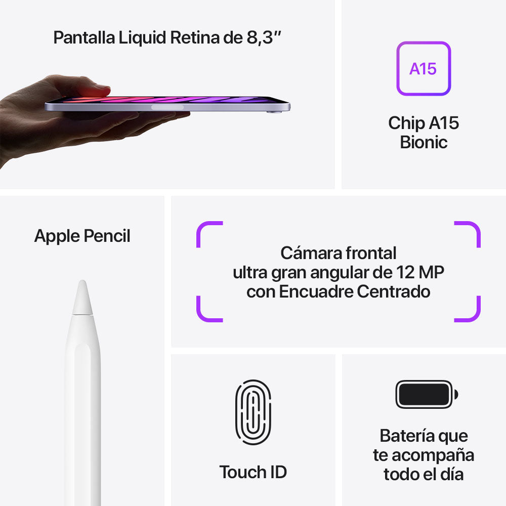 iPad mini Wi-Fi 64 GB - Gris espacial (6.ª generación)