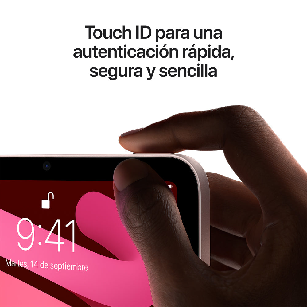 iPad mini Wi-Fi + Cellular 64 GB - Gris espacial (6.ª generación)