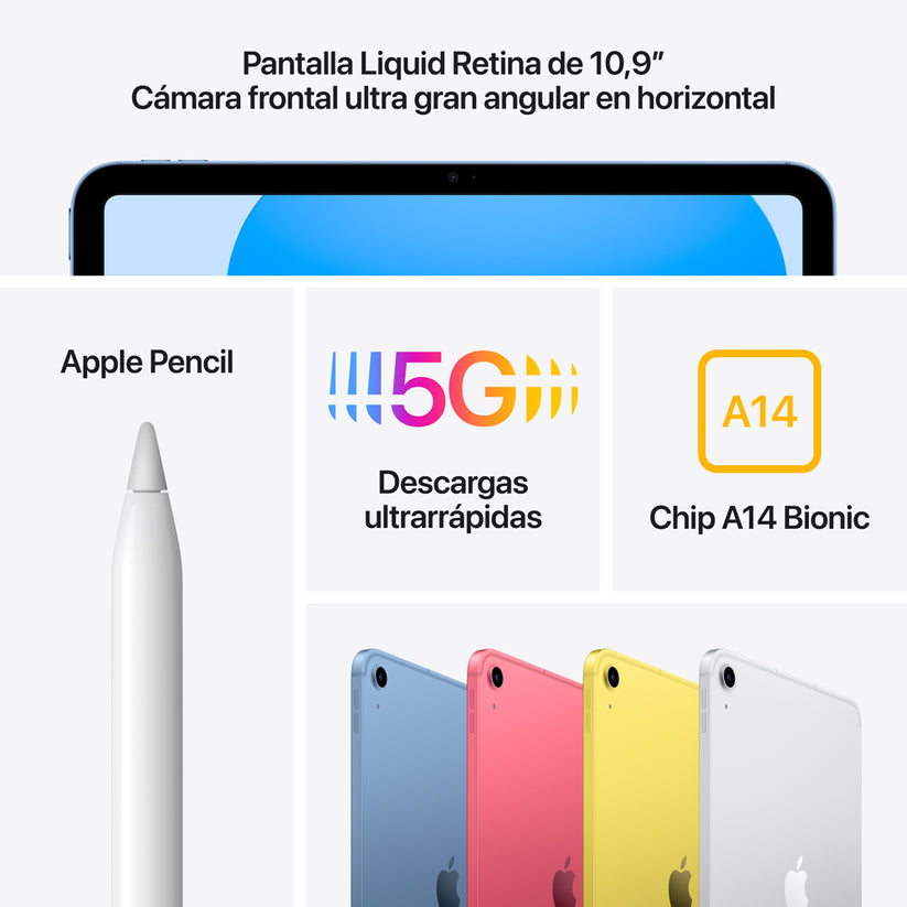 iPad de 10,9 pulgadas Wi-Fi + Cellular 64 GB - Rosa (10.ª generación)